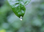 unsplash-525d659117c91-1