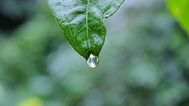 unsplash-525d659117c91-1