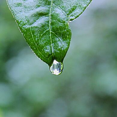 unsplash-525d659117c91-1