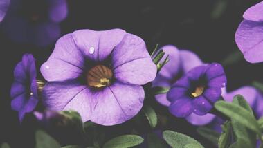 unsplash-525b54bcc32ba-1